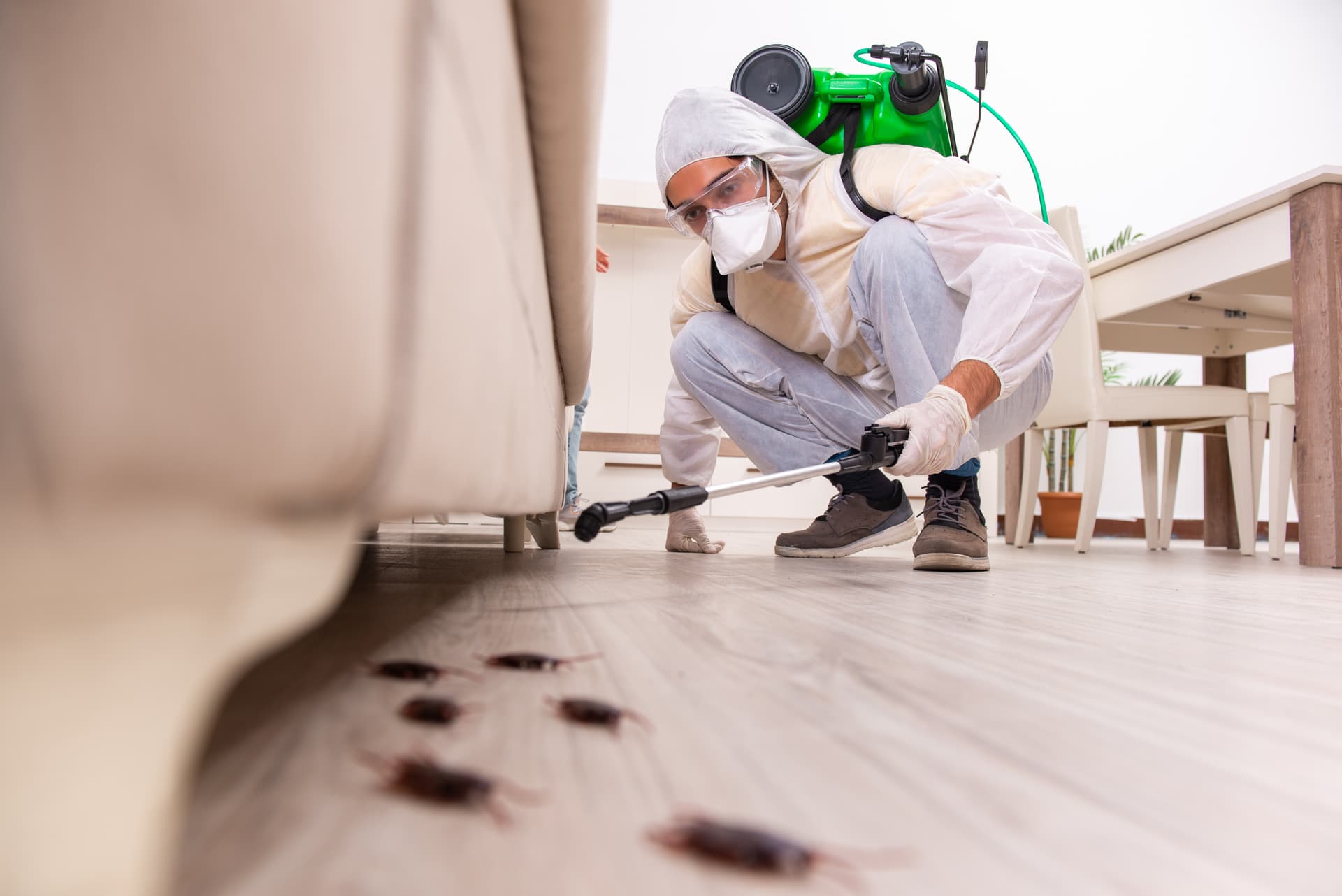 Which Bed Bug Treatment Method Is Right for Your Property?