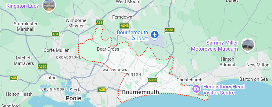 Bournemouth's Local Bed Bug Specialists