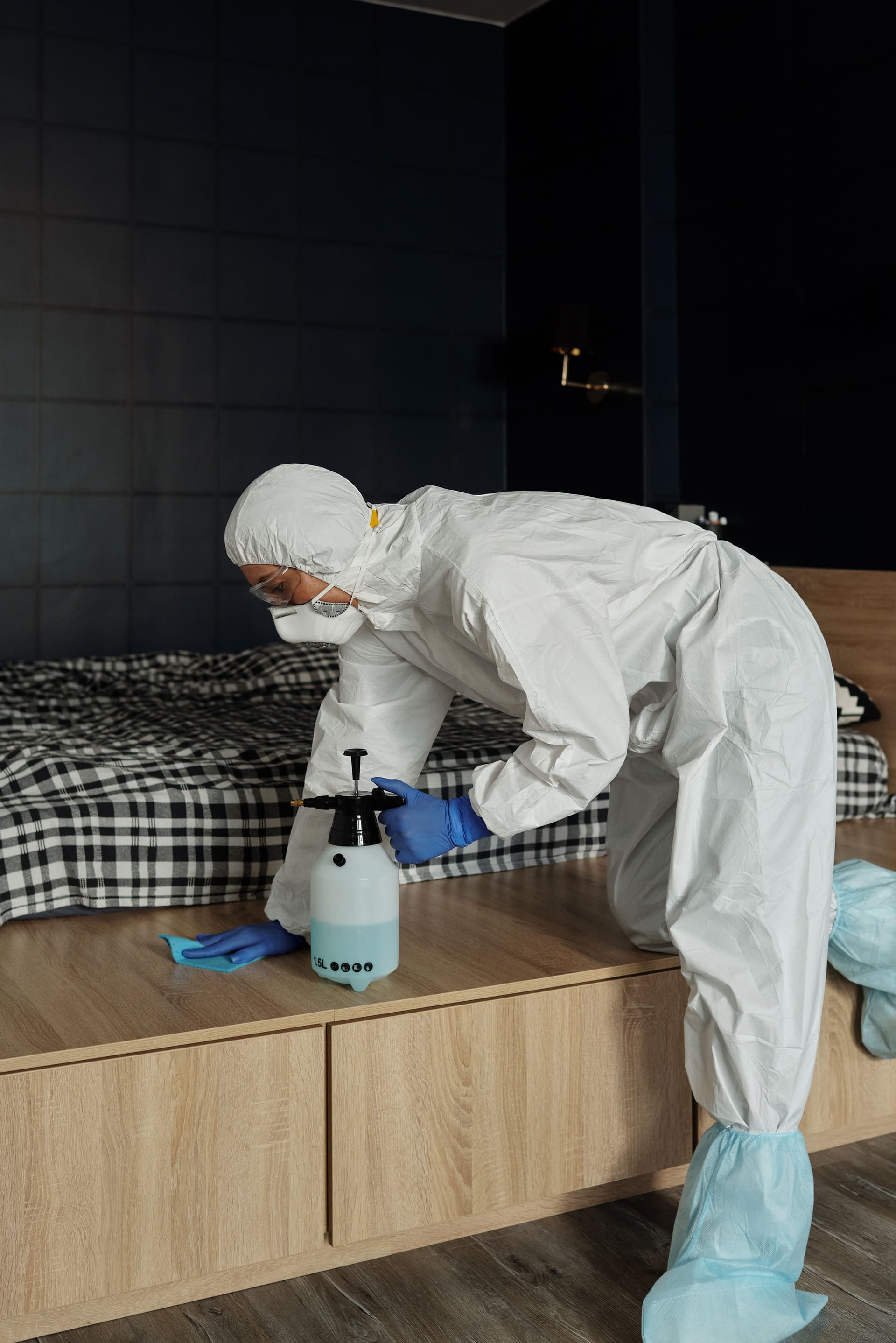 Professional Bed Bug Eradication Specialists